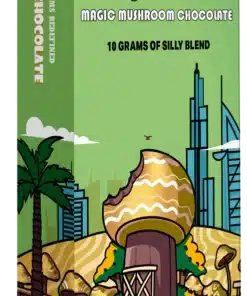 Dubai Chocolate