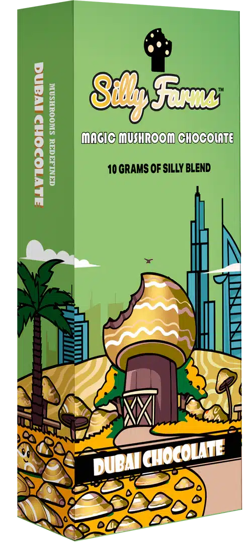 Dubai Chocolate