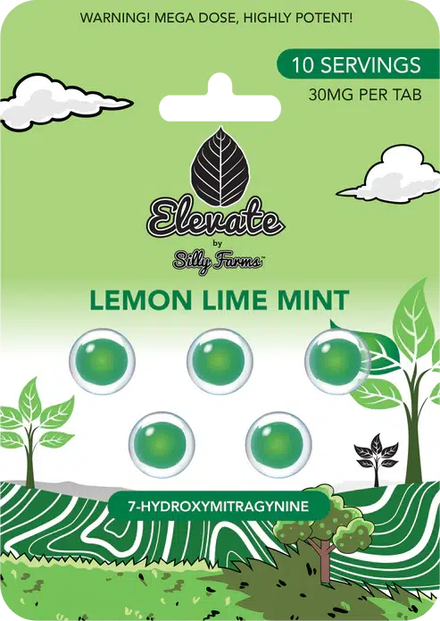 Elevate: Lemon Lime Mint