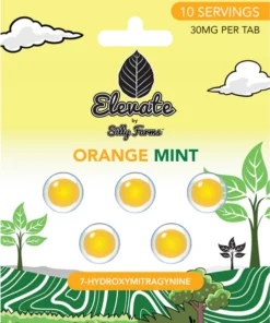 Elevate: Orange Mint