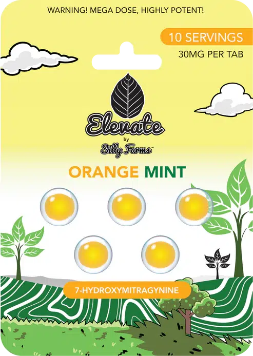 Elevate: Orange Mint